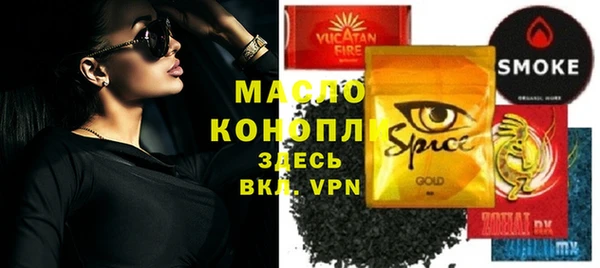 индика Киреевск