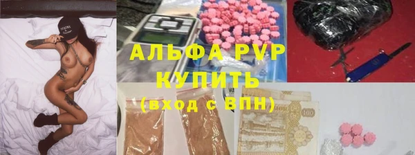 ПСИЛОЦИБИНОВЫЕ ГРИБЫ Тавда