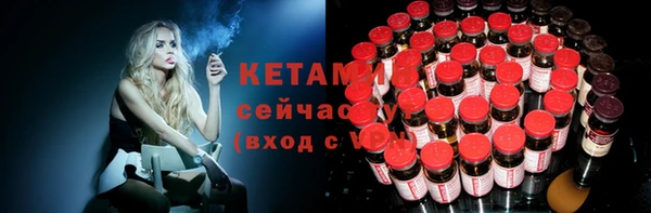 индика Киреевск