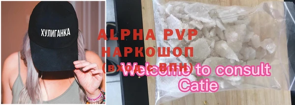 индика Киреевск