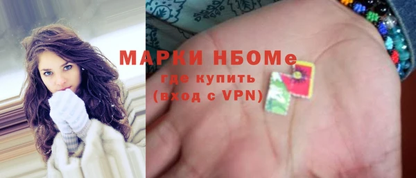 индика Киреевск