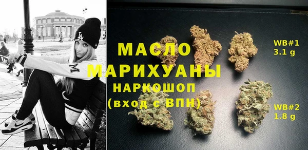 индика Киреевск
