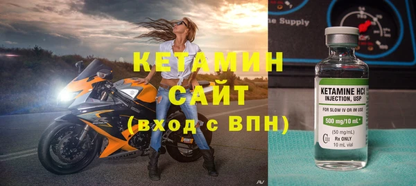 индика Киреевск
