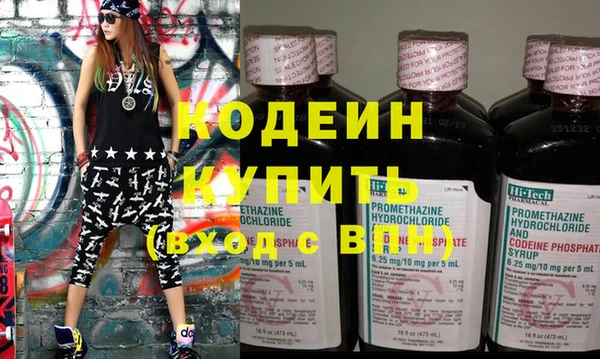 индика Киреевск