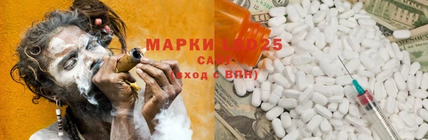 индика Киреевск