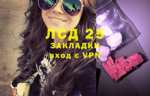 индика Киреевск