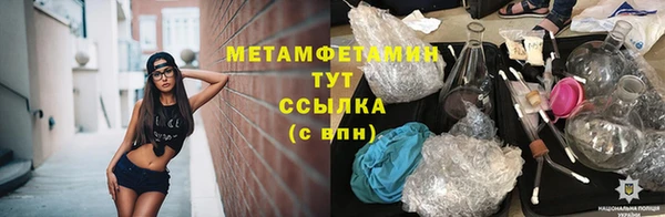 индика Киреевск