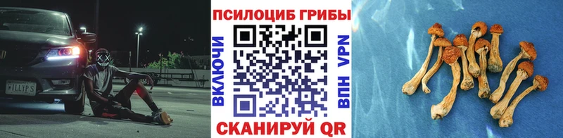 Купить закладки  Котельниково  Галлюциногенные грибы Magic Shrooms 